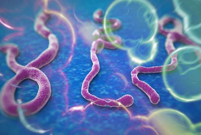 Chine : Le premier médicament anti-Ebola « JK-05 » approuvé pour la production.