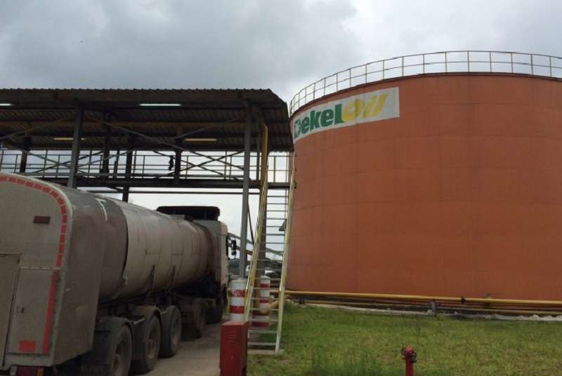 Huile de palme : La société générale lève des fonds pour Dekel Oil