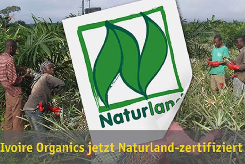 Côte d’Ivoire : Ivoire Organics décroche la certification Naturland