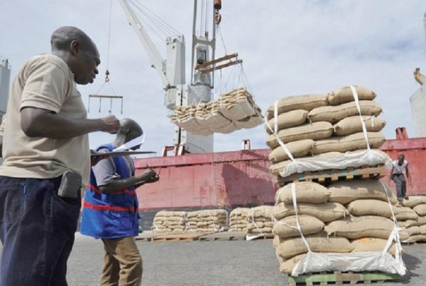 Cacao : La SGBCI lance une offre de « couverture du risque de prix » sur le marché ivoirien