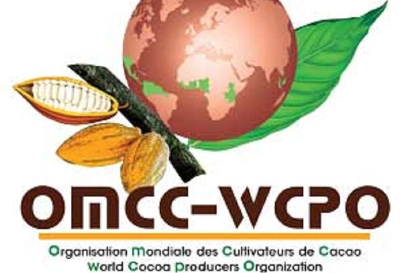 Une initiative de l’OMCC pour renouveler la force de production dans le cacao