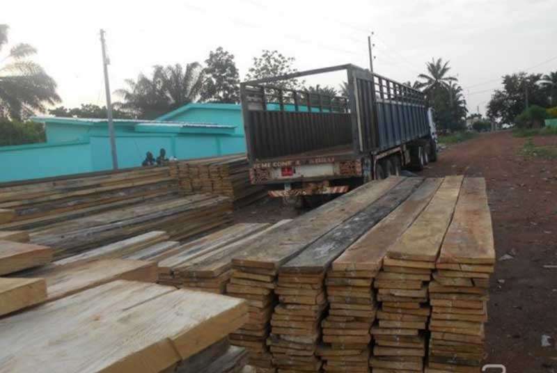 Daloa, les industriels du bois dénoncent la concurrence déloyale que leurs font les scieurs clandestins