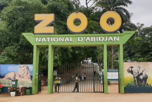 Le gouvernement ivoirien adopte un plan de rénovation et de développement du zoo d’Abidjan