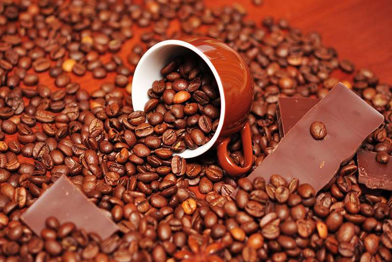 Campagne intermédiaire Café-cacao : Des acteurs de la filière invités au respect du prix minimum garanti