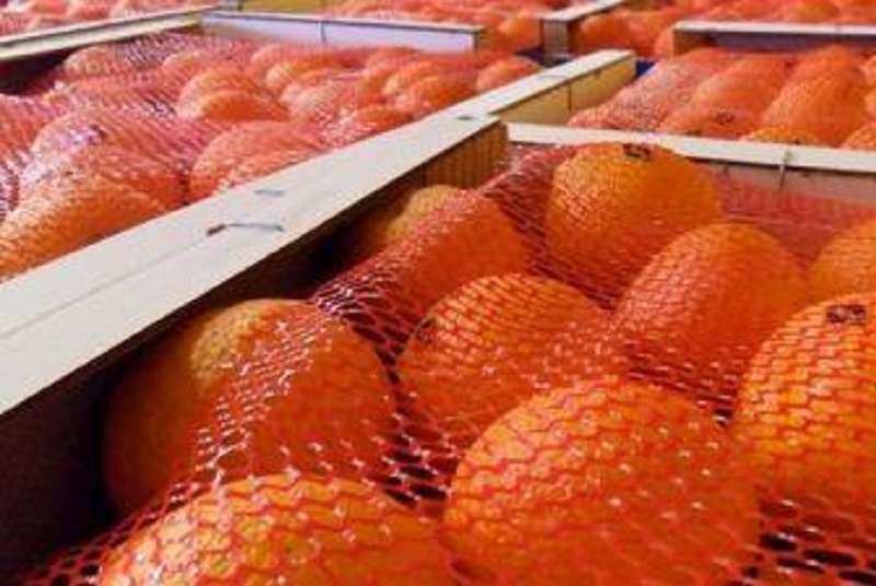 Le Maroc mettra en place une plateforme de commerce et d’exportation de produits agro-alimentaire en Côte d’Ivoire