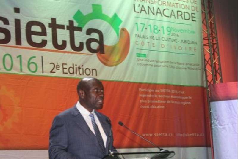 Filière anacarde : La Côte d’Ivoire envisage transformer 100 % de sa production d’ici à 2020