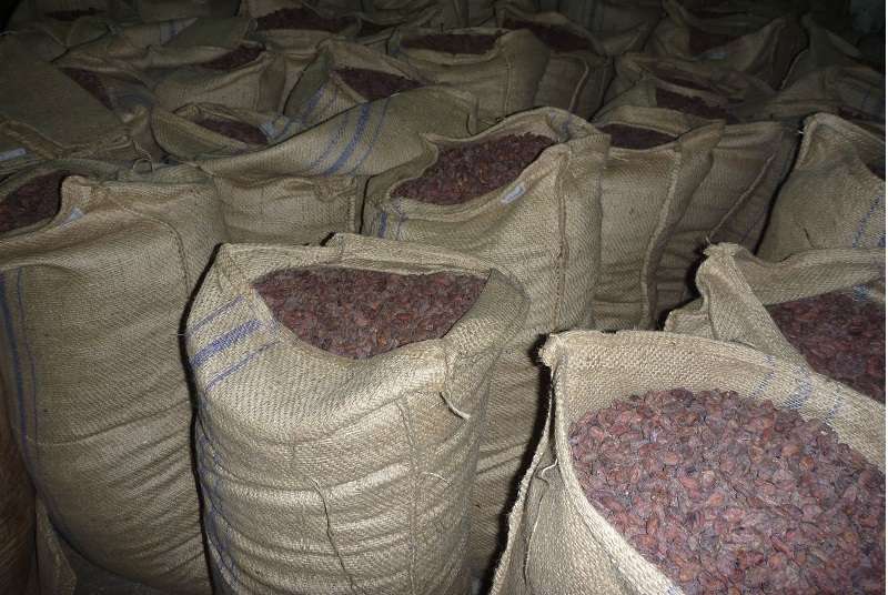Cacao : La BAD accorde un prêt de plus de 65 milliards de FCFA à SUCDEN Côte d&#039;Ivoire