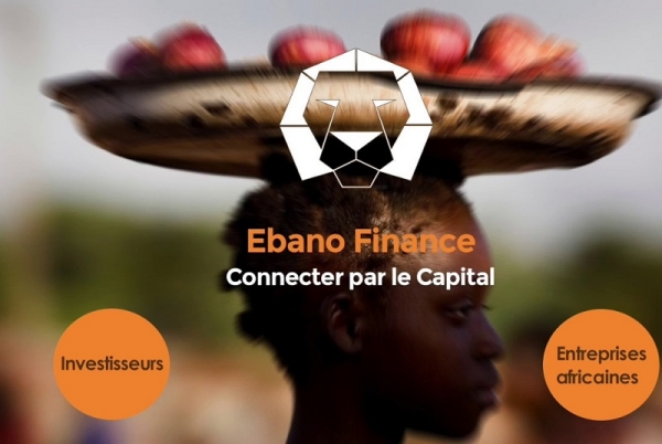 Création d’une plateforme de mise en relation entre entrepreneurs africains et investisseurs