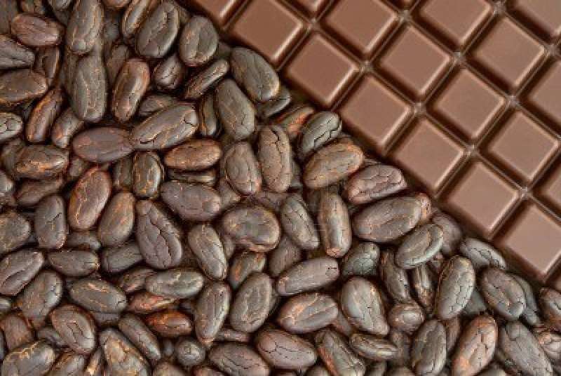 Cacao: l’Etat ivoirien a besoin de 100 milliards de FCFA pour lutter contre le Swollen Shoot