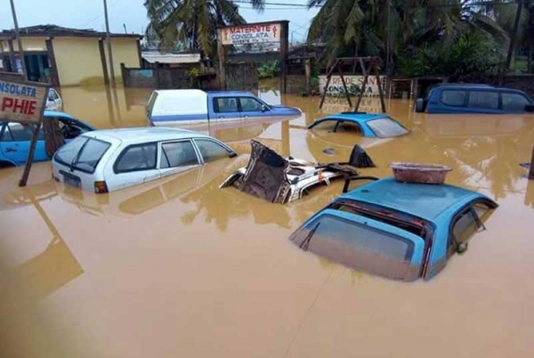 Inondation à San-Pedro : la production de Café-cacao menacée dans la région