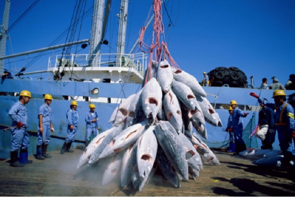 L’UE conclut un nouvel accord de pêche avec la Côte d’Ivoire  (financial afrik)