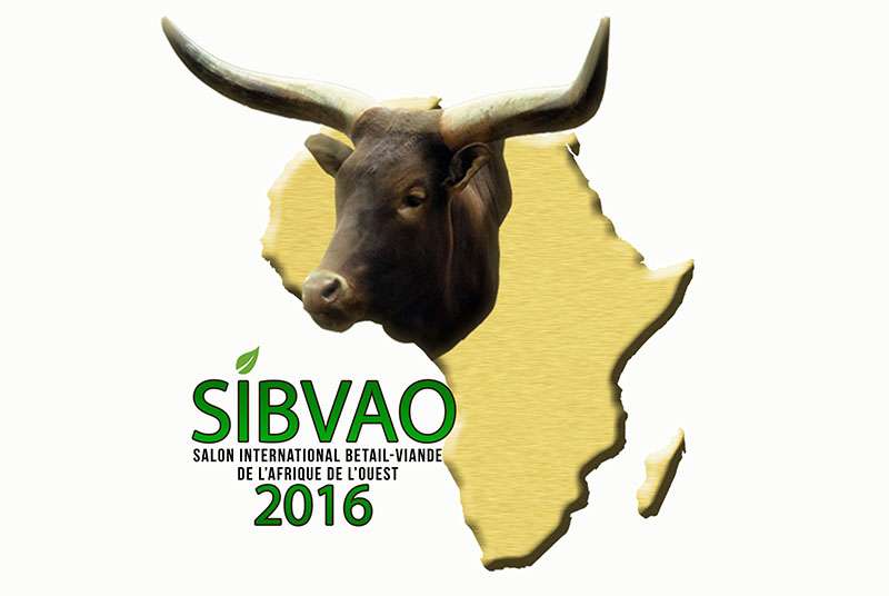 SIBVAO 2016