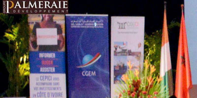 Palmeraie Développement va construire 10 000 logements et un complexe hôtelier en Côte d'Ivoire