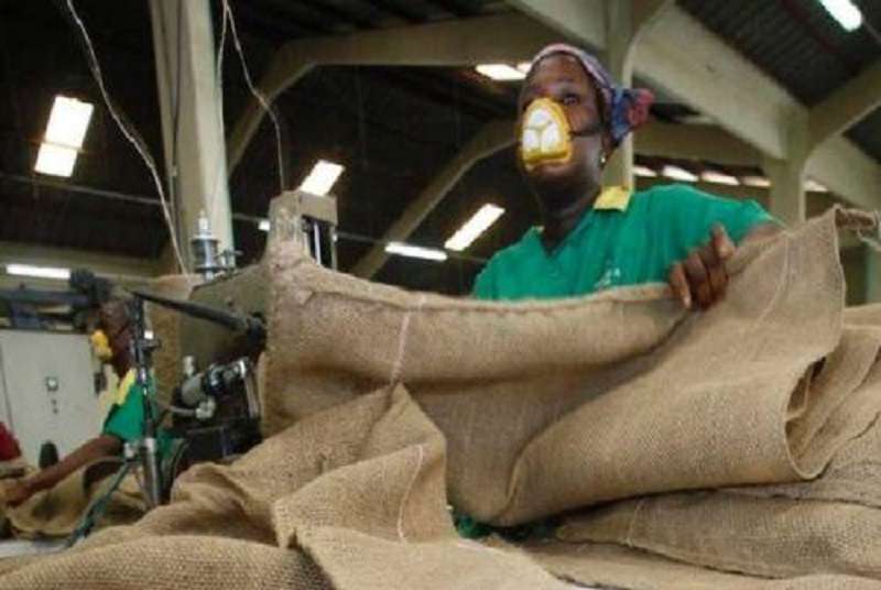 La concurrence dans l’emballage et la baisse de la production cotonnière plombent les performances de Filtisac