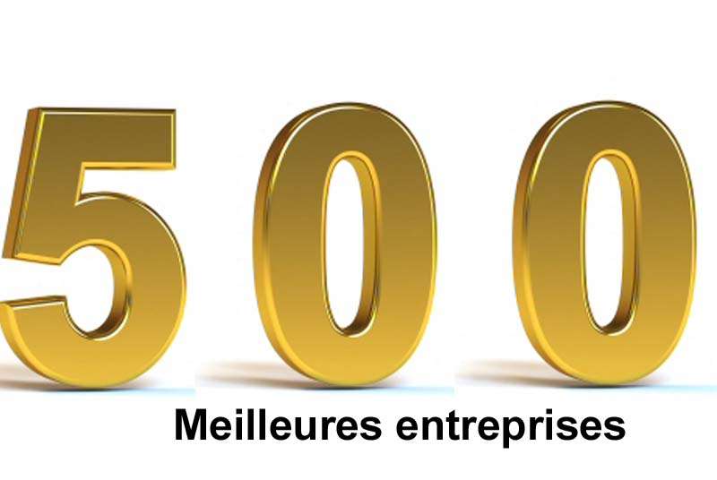 Top 500 des meilleures entreprises : La ccilci leader dans le secteur de l’industrie et de la distribution