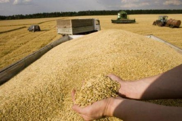 Les stocks mondiaux de blé se contracteront en 2018/2019, une première depuis 6 ans
