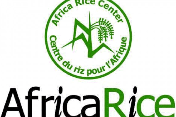 L’Afrique dépense 7 milliards de dollars par an pour ses importations de riz