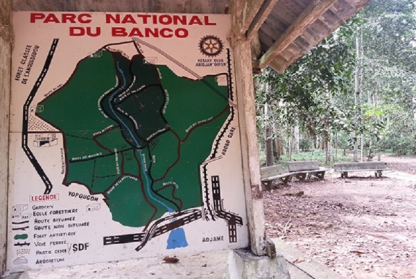 25 hectares du parc national du Banco seront détruits pour la construction du métro d’Abidjan