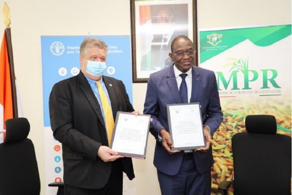 Un accord entre le gouvernement ivoirien et la FAO pour développer les chaînes de valeur du riz