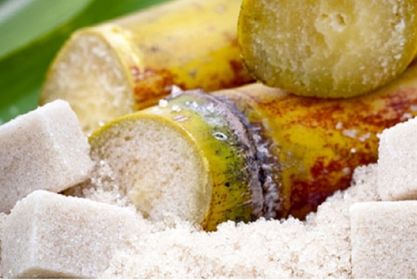 La Côte d’Ivoire approche l’autosuffisance en sucre   (L Infodrome)
