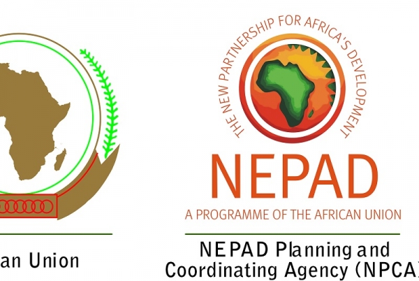 Le NEPAD lance l’agenda 5% pour le financement des infrastructures en Afrique
