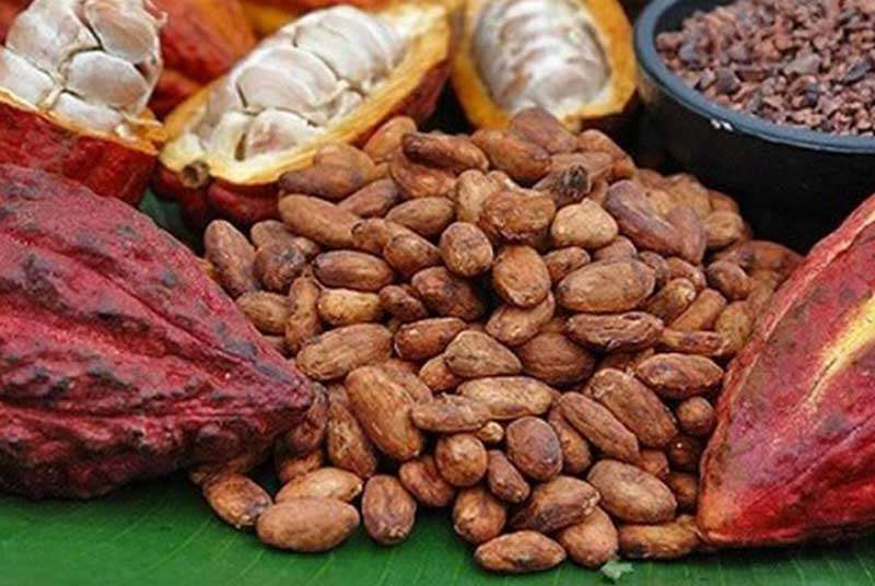 La Côte d’Ivoire invisible au cocoa dinner