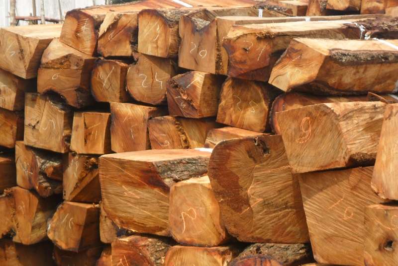 Redevances industrielles : le cas spécifique de l’industrie du bois étudié