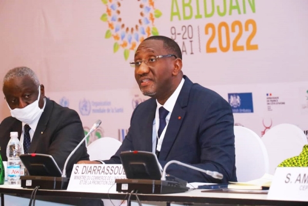 Le ministre ivoirien du Commerce, exhorte le secteur privé à explorer les opportunités de l’économie verte
