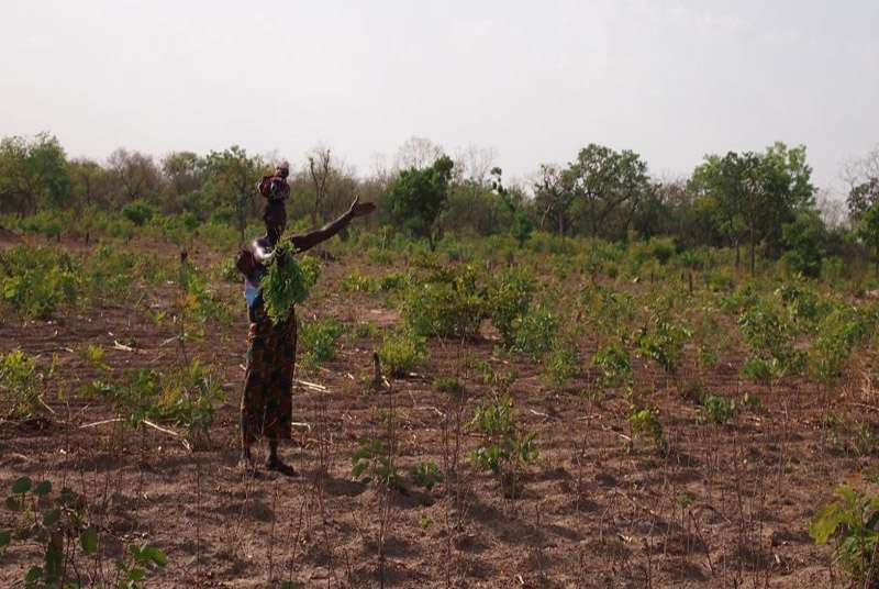 UE: 36 milliards pour le foncier rural en Côte d&#039;Ivoire