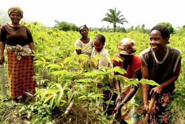 La Côte d’Ivoire classée premier pays agricole d’Afrique