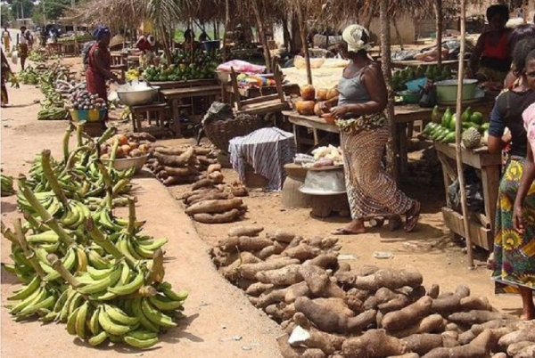 La Côte d’Ivoire confirme son autosuffisance alimentaire